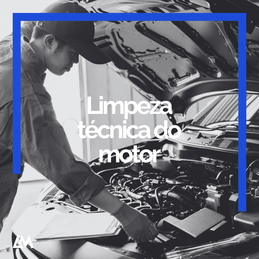 Limpeza técnica do motor