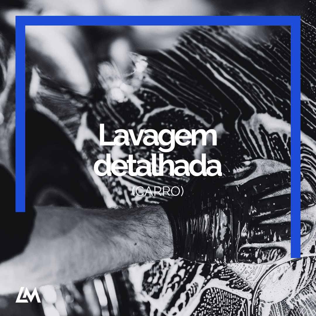 Lavagem detalhada (carro)