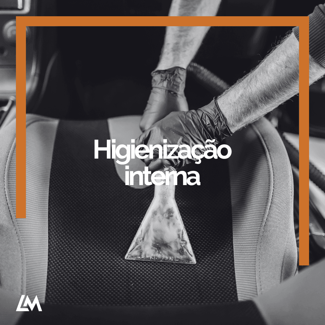 Higienização interna